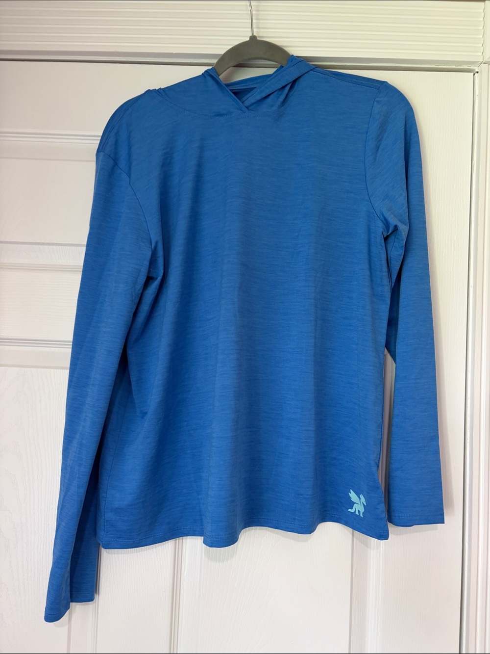 final sale-nwt- women’s - Blue Hooded Long-Sleeve Performance Shirt